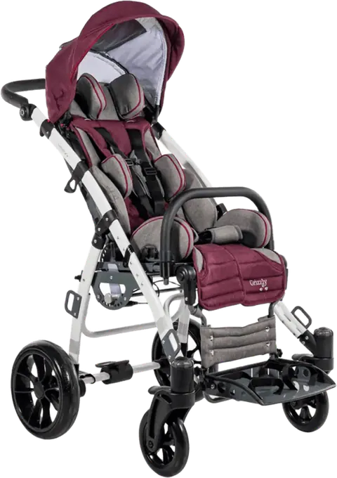 Mywam Grizzly Engelli Çocuk Puseti - 1