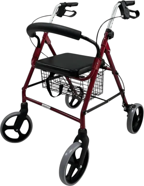 Poylin P580 Ekonomik Rollatör - 1