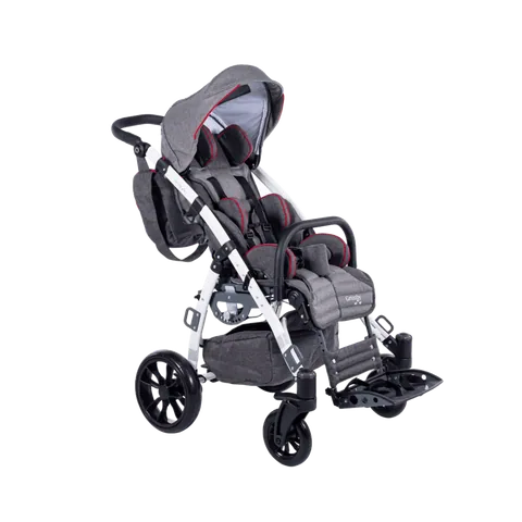 Mywam Grizzly Engelli Çocuk Puseti 2