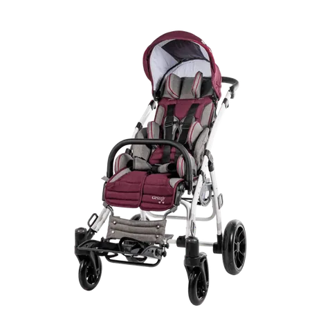 Mywam Grizzly Engelli Çocuk Puseti 4