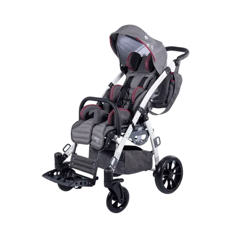 Mywam Grizzly Engelli Çocuk Puseti 5