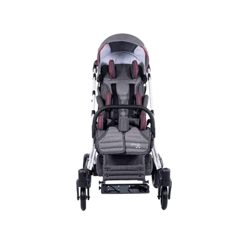 Mywam Grizzly Engelli Çocuk Puseti 7