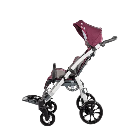 Mywam Grizzly Engelli Çocuk Puseti 8