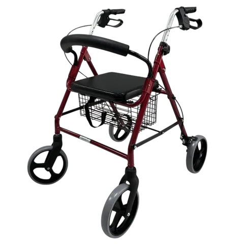 Poylin P580 Ekonomik Rollatör