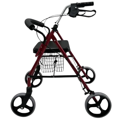 Poylin P580 Ekonomik Rollatör 2