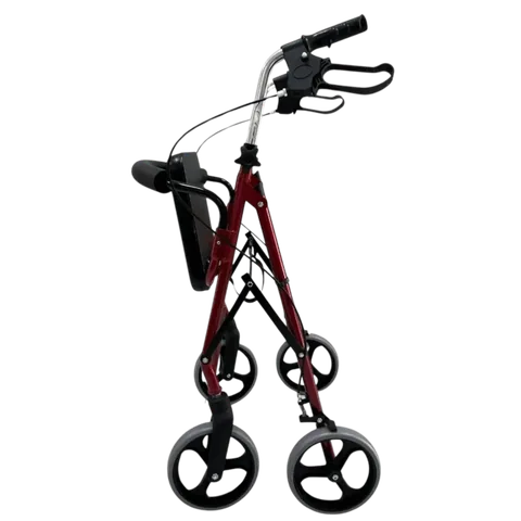 Poylin P580 Ekonomik Rollatör 3