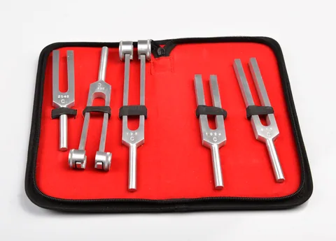 Pulsemed Diyapozon Set