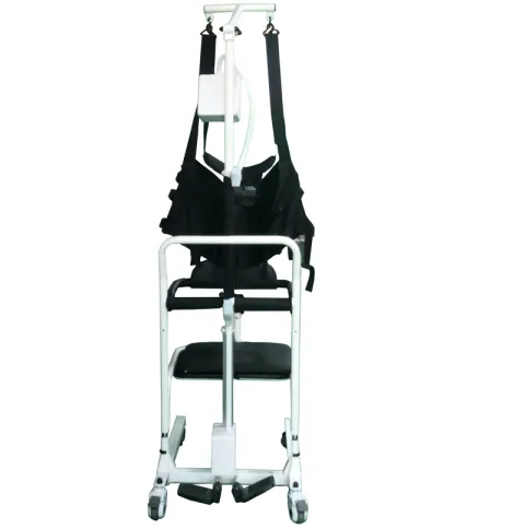 Römer R456 Fonksiyonel Motorlu Taşıma Lifti 4